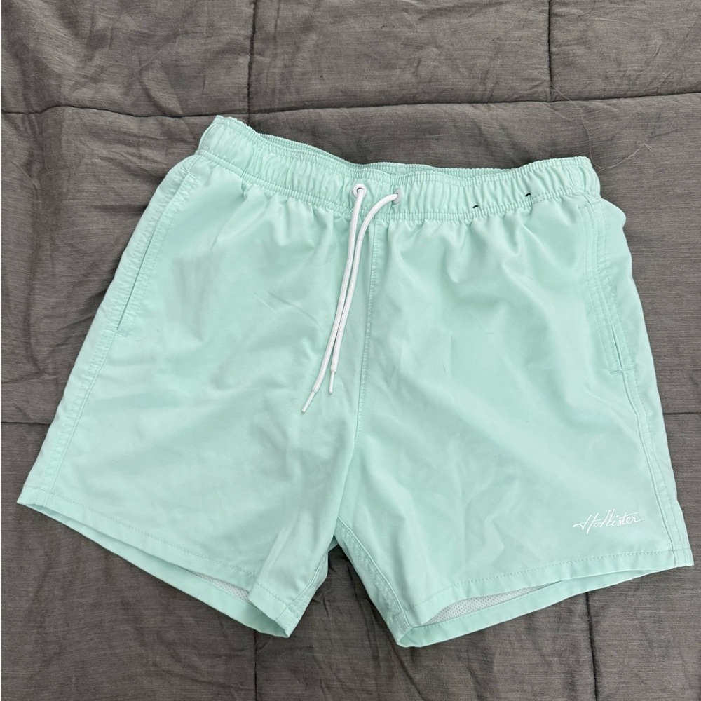 Hollister Mint Green Swim Trunks